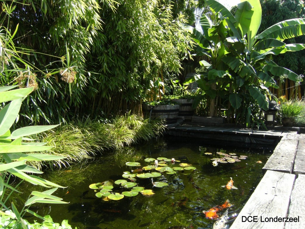 Deze afbeelding heeft een leeg alt-attribuut; de bestandsnaam is etienedecauwer2-1024x768.jpg