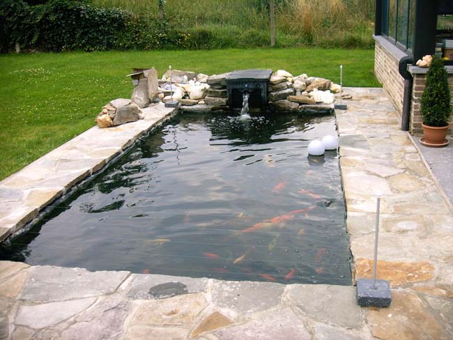 andy's koivijver avontuur