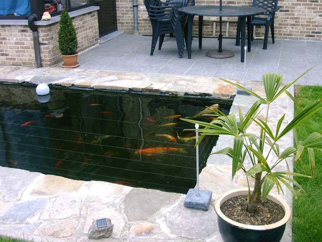 andy-koivijver-=terras