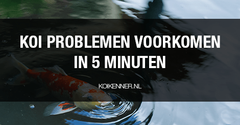 koi problemen voorkomen