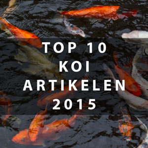 top-10-koi-2015