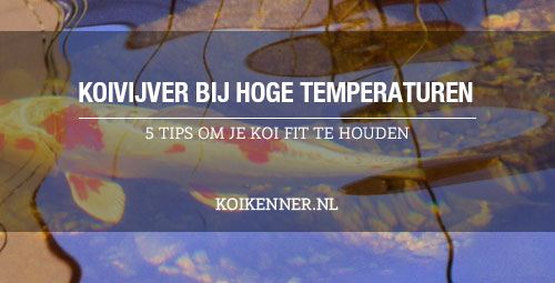 koivijver bij hoge temperaturen