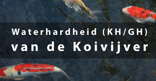 koivijver - waterhardheid