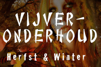 vijveronderhoud-herfst-winter