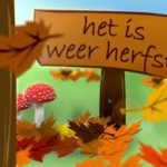 koi-herfst-onderhoud