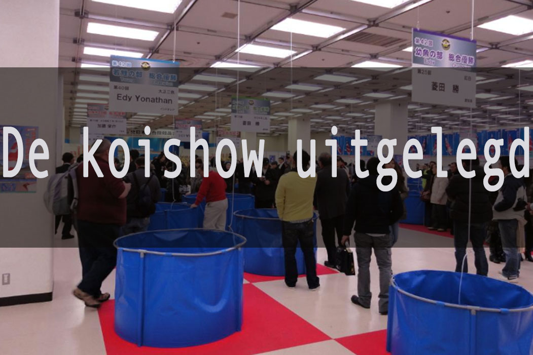 Koishow uitleg