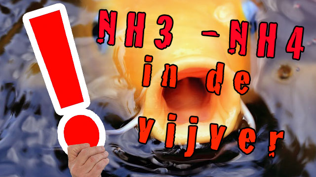 NH3-NH4NH3-NH4NH3-NH4