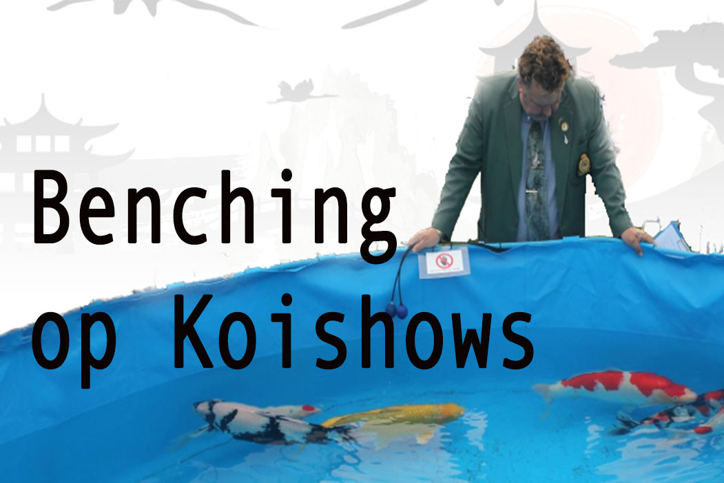 benching op koishows