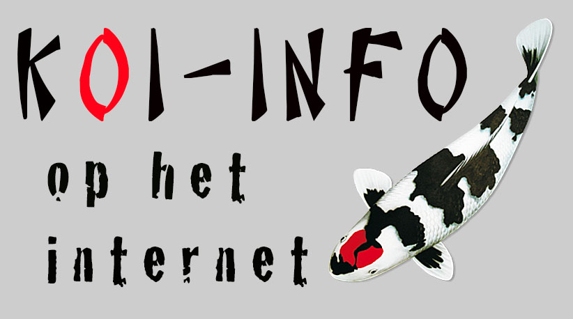 koi-info-op-het-internet