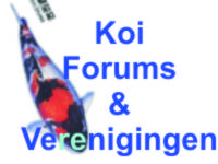 koi_vereniging_forum_koigallery