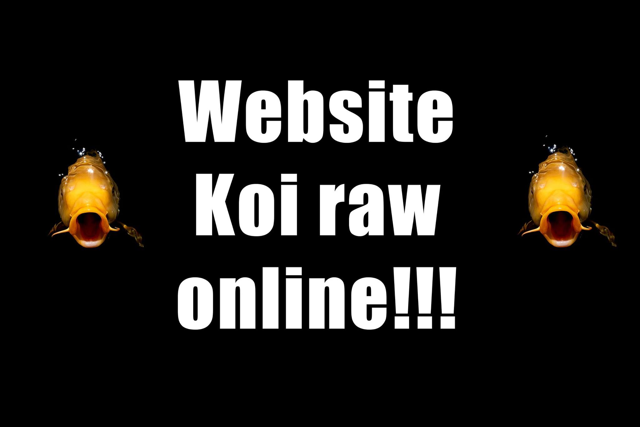 koiraw-website online-groot