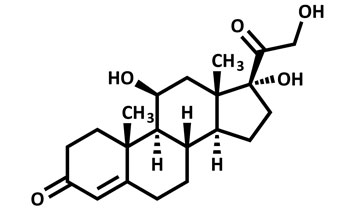 cortisol_koi_ziekte