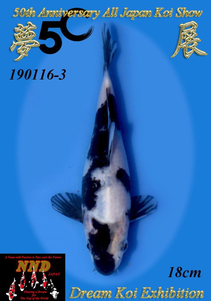 koi zwart wit